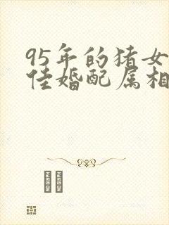 95年的猪女最佳婚配属相