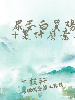 尿蛋白质阳性1+是什么意思,严重吗