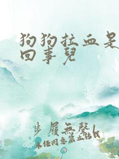 狗狗拉血是怎么回事儿