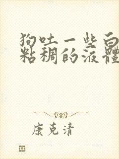 狗吐一些白色的粘稠的液体