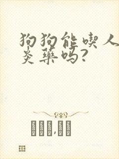 狗狗能吃人的消炎药吗?