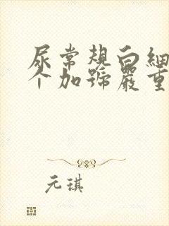 尿常规白细胞2个加号严重吗