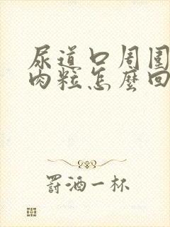 尿道口周围有小肉粒怎么回事