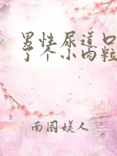 男性尿道口内长了个小肉粒