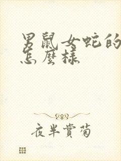 男鼠女蛇的婚配怎么样