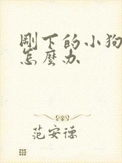 刚下的小狗拉稀怎么办