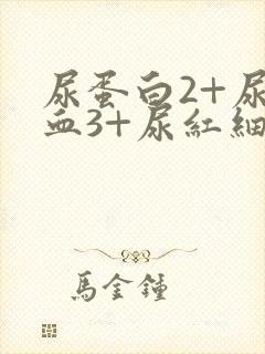 尿蛋白2+尿潜血3+尿红细胞高