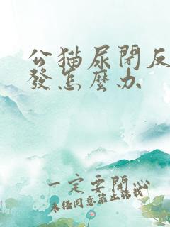 公猫尿闭反复复发怎么办