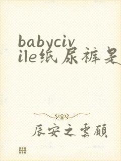 babycivile纸尿裤是什么牌子