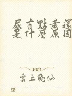 尿有点黄还有味是什么原因