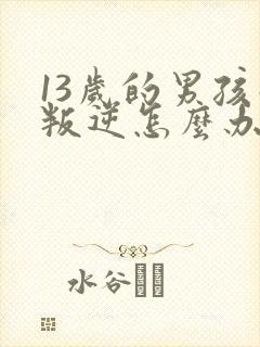 13岁的男孩子叛逆怎么办