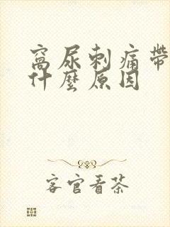 窝尿刺痛带血是什么原因