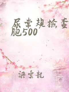 尿常规检查白细胞500
