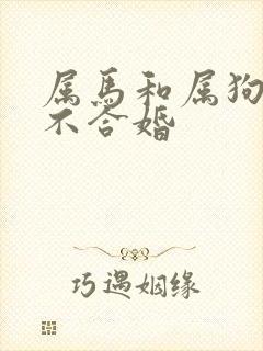 属马和属狗的合不合婚