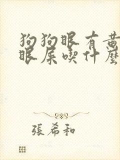 狗狗眼有黄脓状眼屎吃什么药