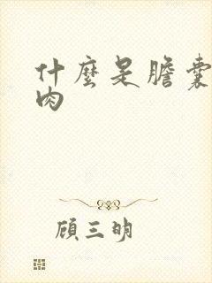 什么是胆囊壁息肉