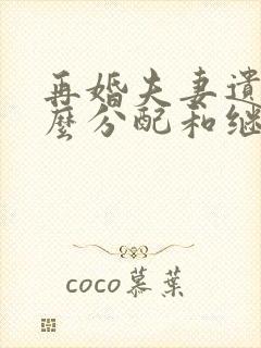 再婚夫妻遗产怎么分配和继承比例