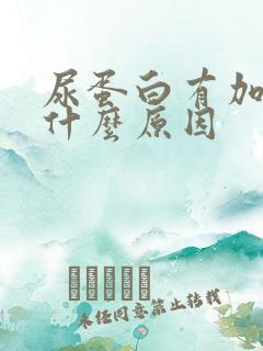 尿蛋白有加号是什么原因