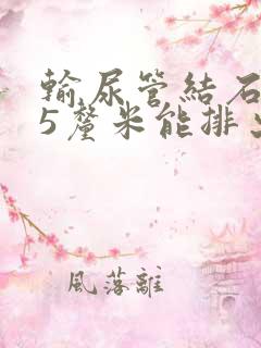 输尿管结石0.5厘米能排出吗