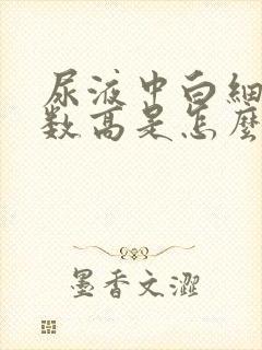 尿液中白细胞计数高是怎么回事