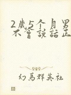 2岁5个月男孩不会说话正常吗?