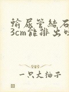 输尿管结石0.3cm能排出吗