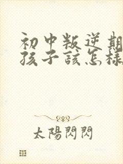 初中叛逆期的男孩子该怎样去沟通教育