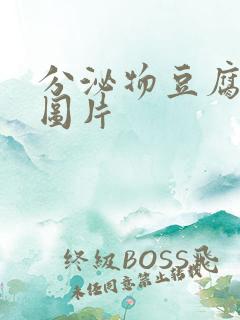 分泌物豆腐渣状图片