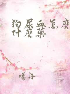 狗尿血怎么治吃什么药