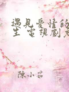 遇见爱情的利先生 电视剧免费观看