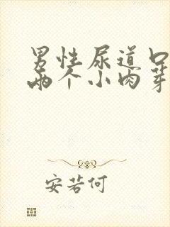 男性尿道口长了两个小肉芽