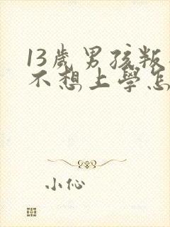 13岁男孩叛逆不想上学怎么办