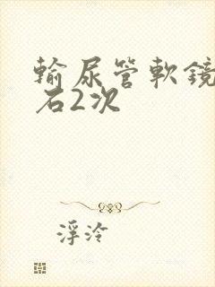 输尿管软镜取结石2次