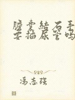 胆囊结石手术需要插尿管吗