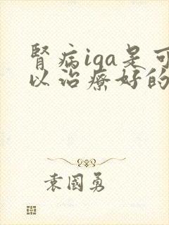 肾病iga是可以治疗好的吗