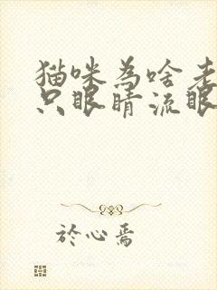 猫咪为啥老是一只眼睛流眼泪