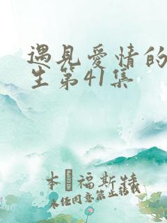 遇见爱情的利先生第41集