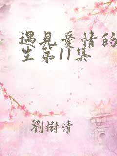 遇见爱情的利先生第11集