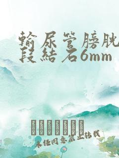 输尿管膀胱壁内段结石6mm