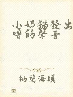 小奶猫发出呼噜噜的声音