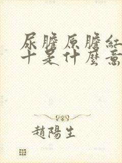 尿胆原胆红素1十是什么意思