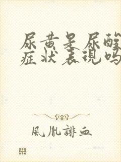 尿黄是尿酸高的症状表现吗