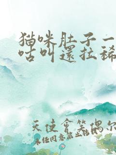 猫咪肚子一直咕咕叫还拉稀