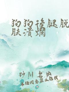 狗狗后腿脱毛皮肤溃烂