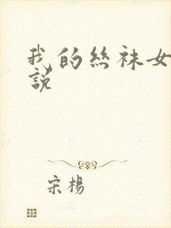 我的丝袜女友小说