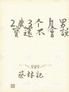 2岁3个月男宝宝还不会说话