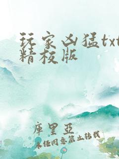 玩家凶猛txt精校版