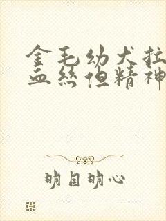 金毛幼犬拉稀带血丝但精神很好