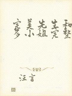 完美先生和差不多小姐完整