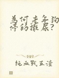 为何老年狗狗不停的撒尿?